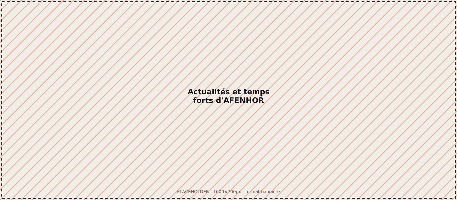 [Photo à remplacer : actualités et temps forts d'AFENHOR]