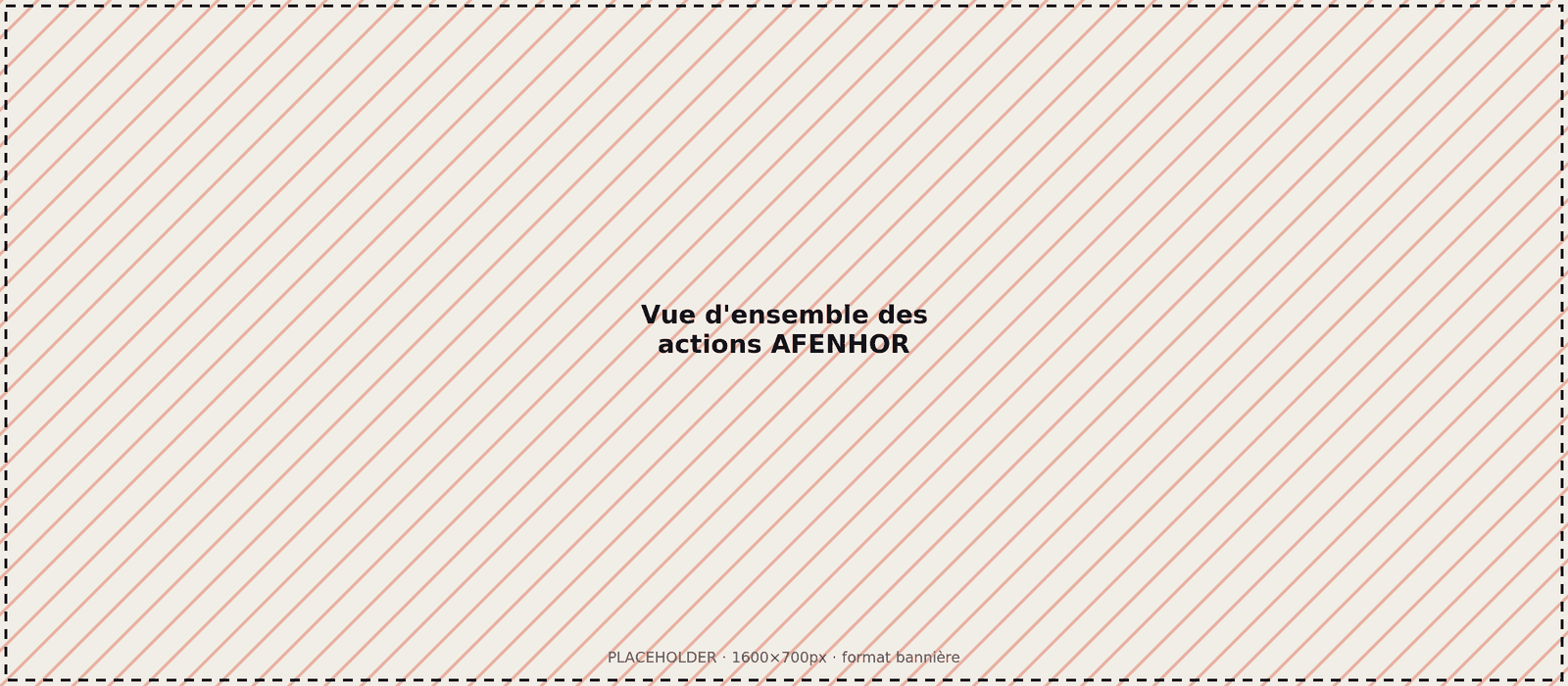 [Photo à remplacer : vue d'ensemble des actions AFENHOR]