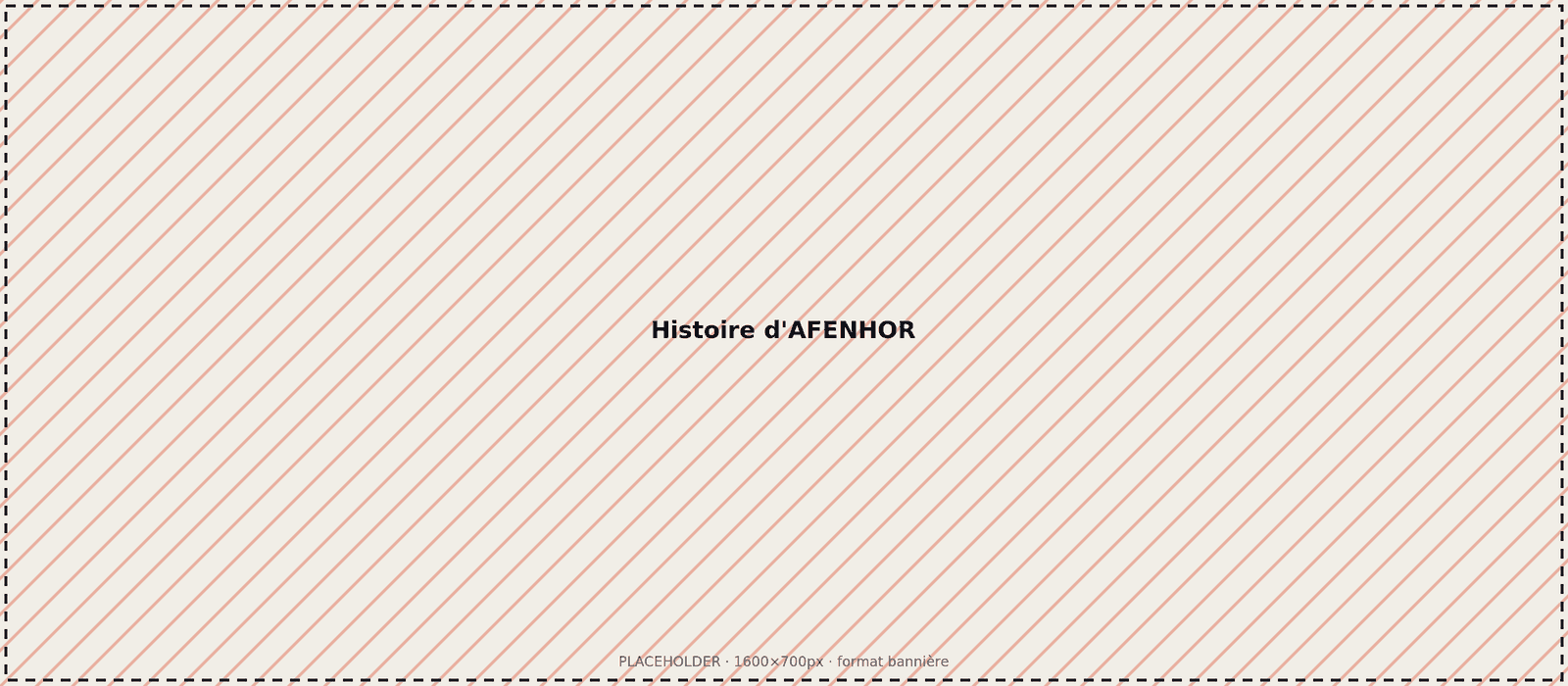 [Photo à remplacer : histoire d'AFENHOR]